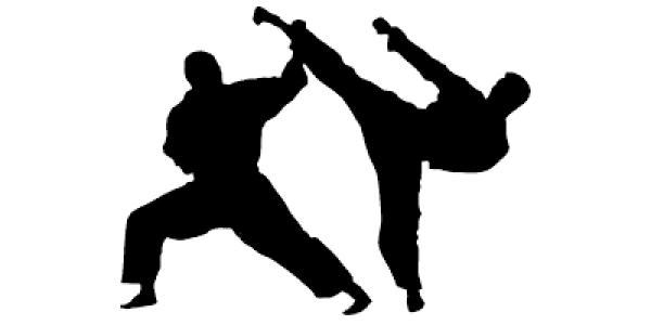 Sukcesy naszych uczniów w karate